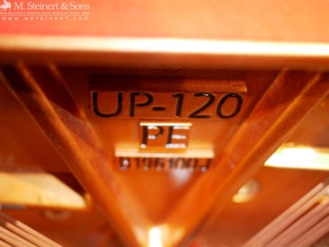 Boston UP-120S