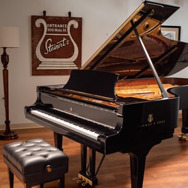 Steinway_Model D_Case