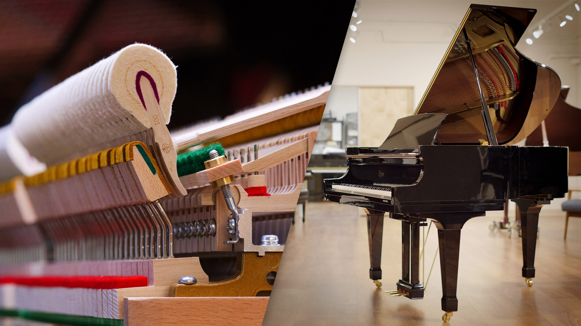 bostonhammerheropage bostonhammerheropage