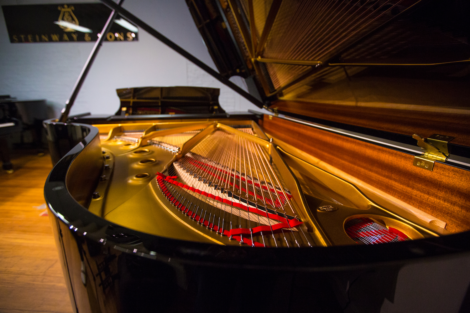 Steinway_longview_1500w