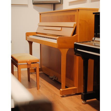 image for Other piano